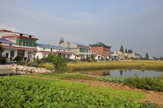 王家寨村(河北張家口市橋東區下轄村)