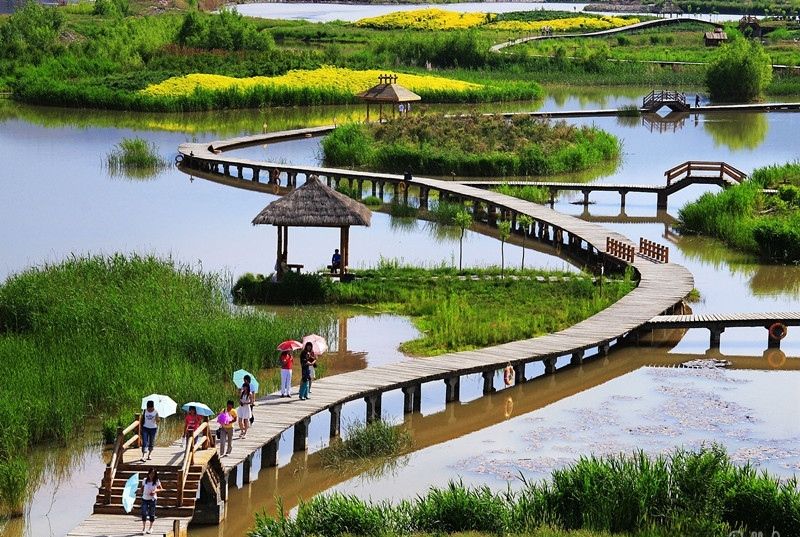 天津下營環秀湖國家濕地公園