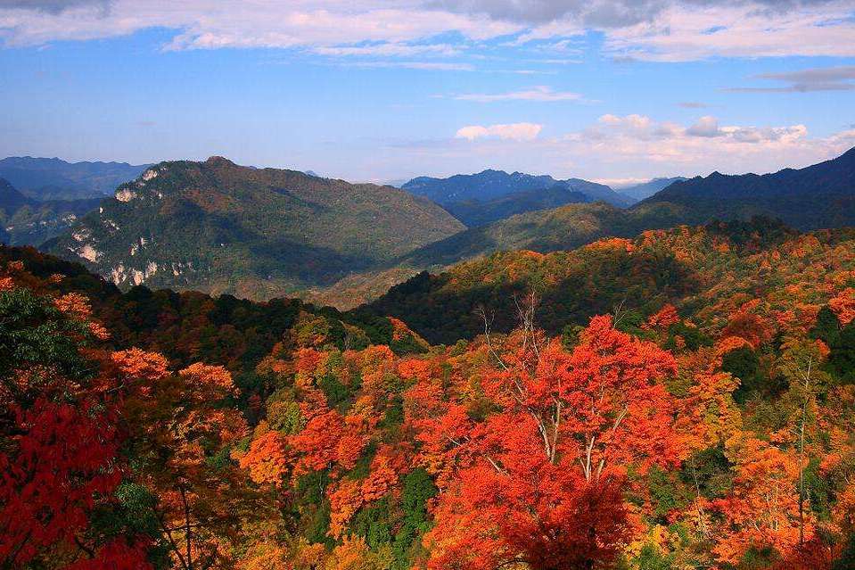 四川光霧山省級自然保護區