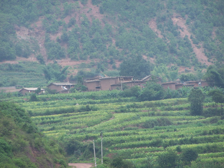 山丫口村(新平縣老廠鄉馬家壩村民委員會下轄村)