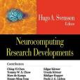 Neurocomputing Research Developments