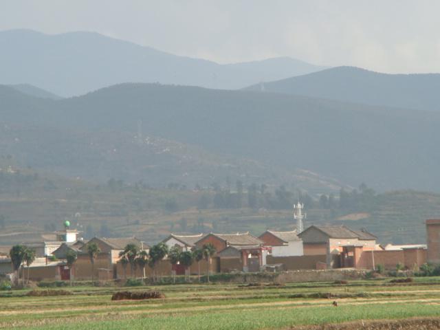 高蒼村(雲南陸良縣板橋鎮下轄村)