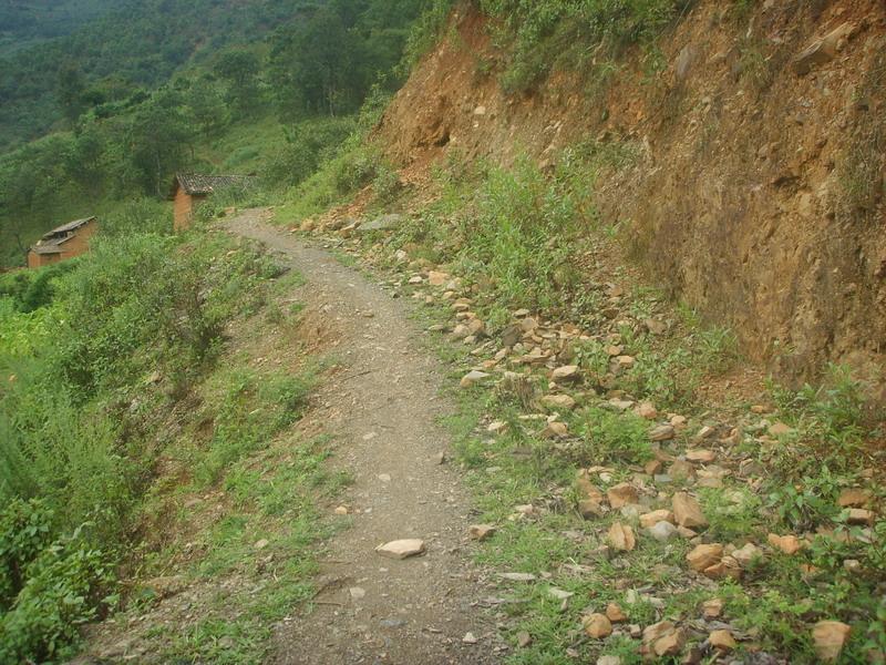 入村道路