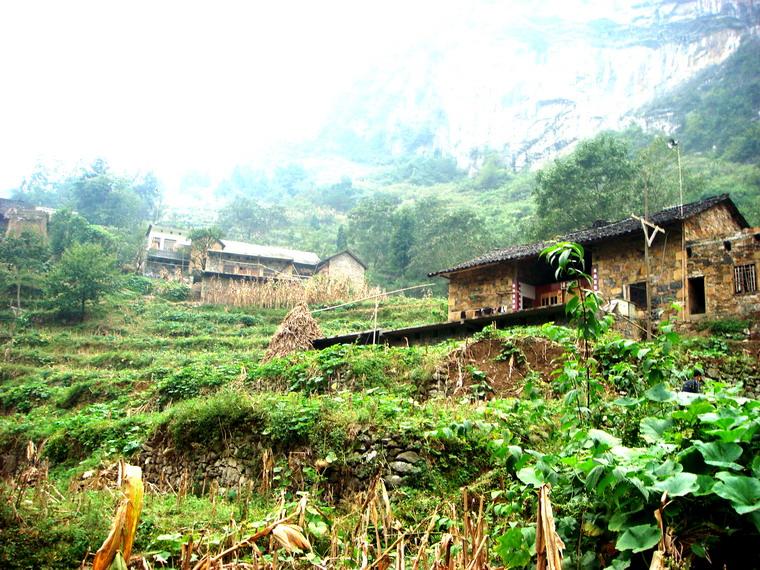 石板村(峨山縣富良棚鄉石板村民委員會下轄村)