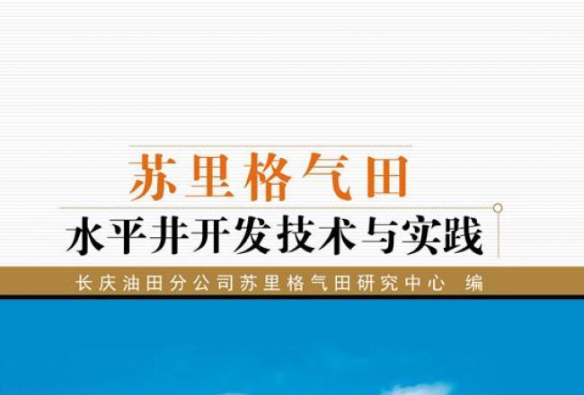 蘇里格氣田水平井開發技術與實踐