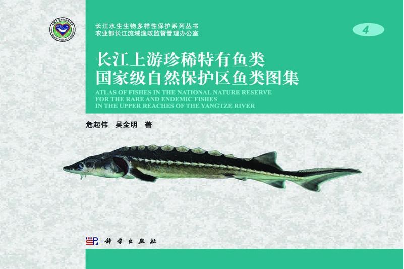 長江上游珍稀特有魚類國家級自然保護區魚類圖集