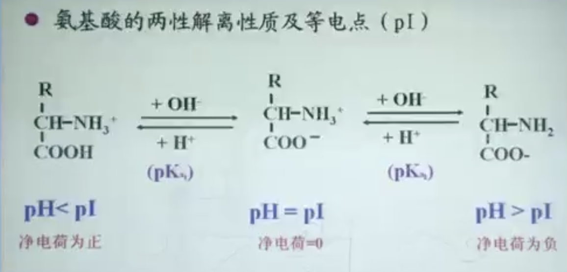 兩性解離