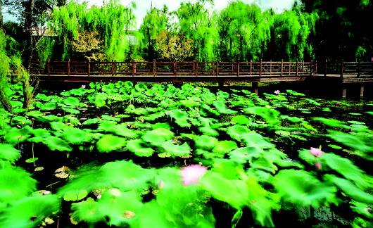 柳林村(北京市海淀區蘇家坨鎮下轄村)