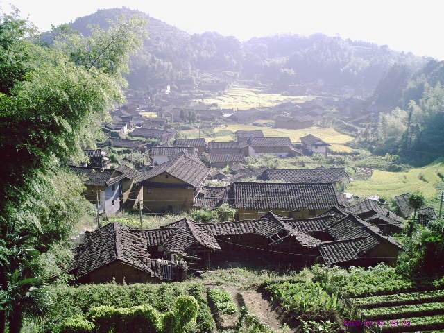 桂東村(福建漳平市官田鄉下轄村)