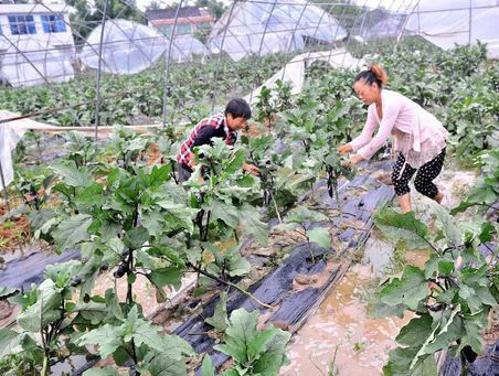 8·17南充特大暴雨災害事件