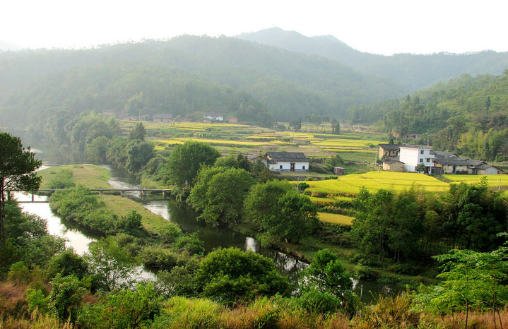 師福村