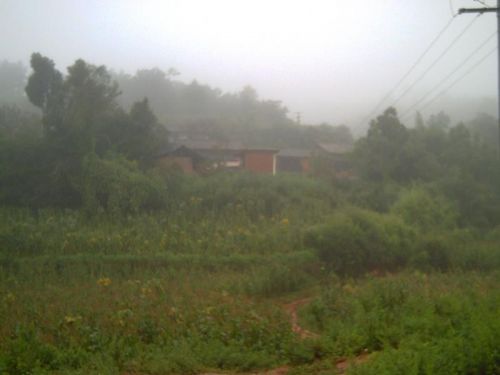 長嶺子村(雲南省昆明市東川區阿旺鎮長嶺子村)