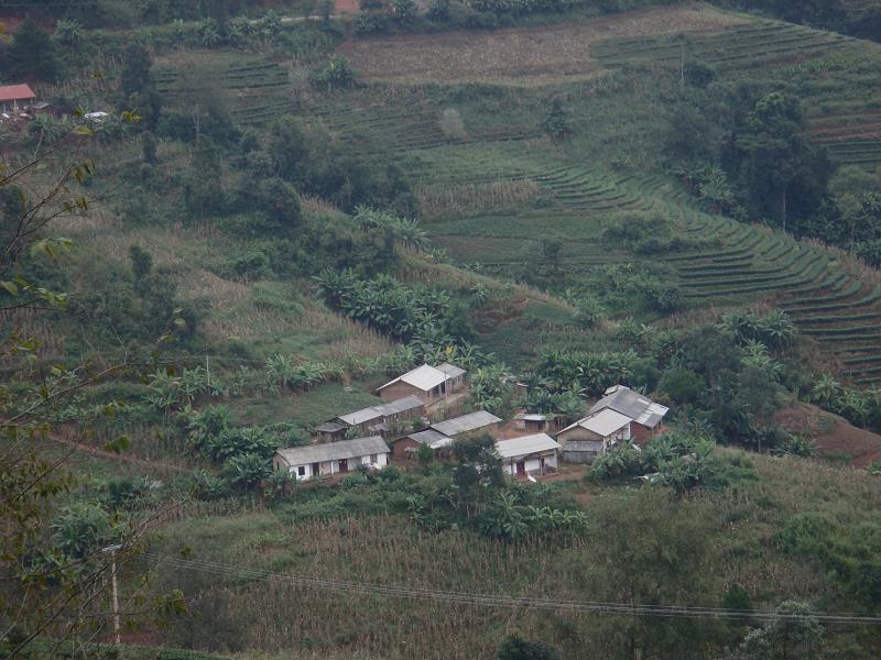 山茶樹自然村