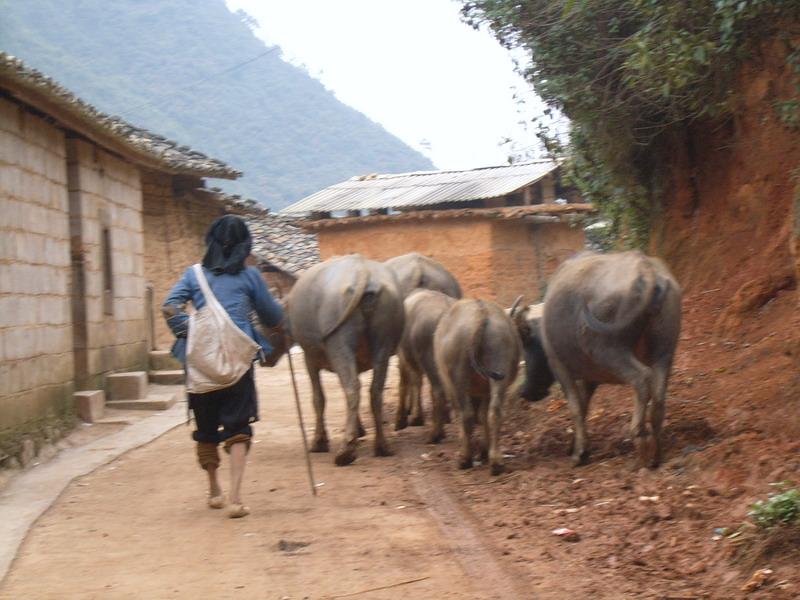 村內道路