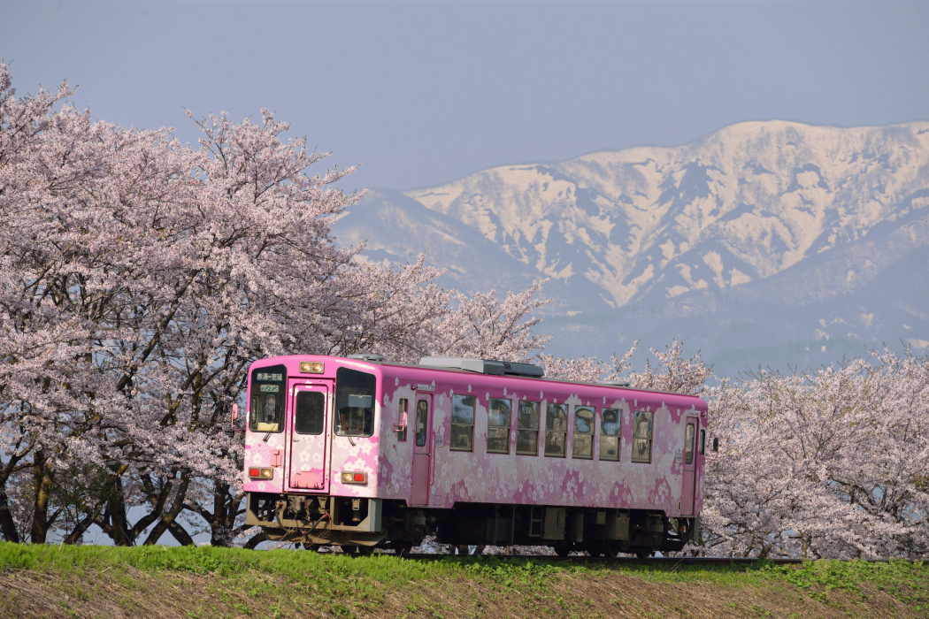 花長井線