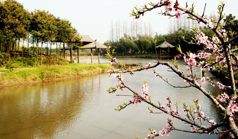 芳心園