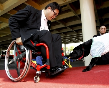 介護犬幫助肢殘人士拉動輪椅