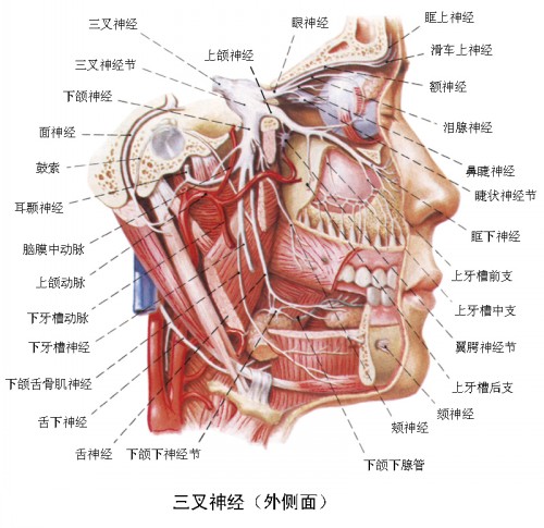 面部神經痛