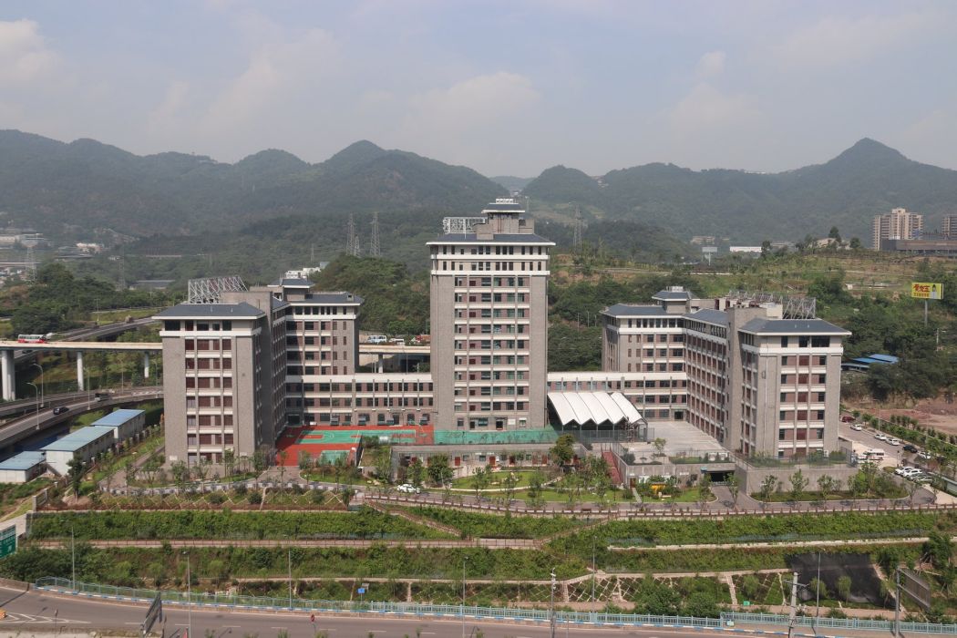 重慶市第十一人民醫院