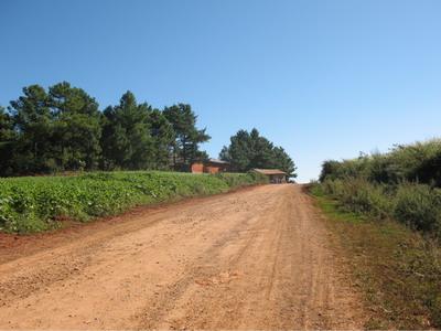 村組公路