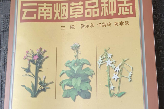 雲南菸草品種志