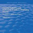 Capacity Realization and Productivity Growth in a Developing Country: Has Economic Reform Had Impact?