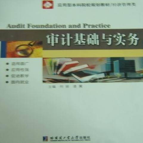 審計基礎與實務(2011年哈爾濱工業大學出版社出版的圖書)