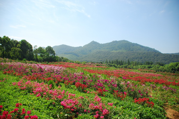 京山