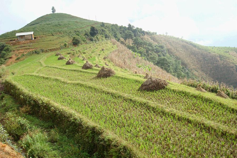 團田頭自然村