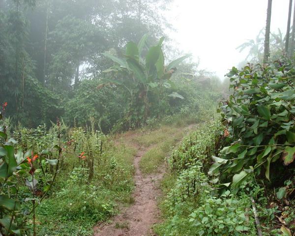 老鴉窩村(雲南省尋甸縣甸沙鄉下轄村)