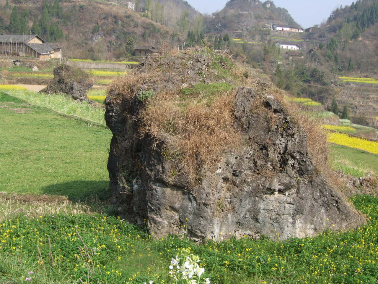 神農樁