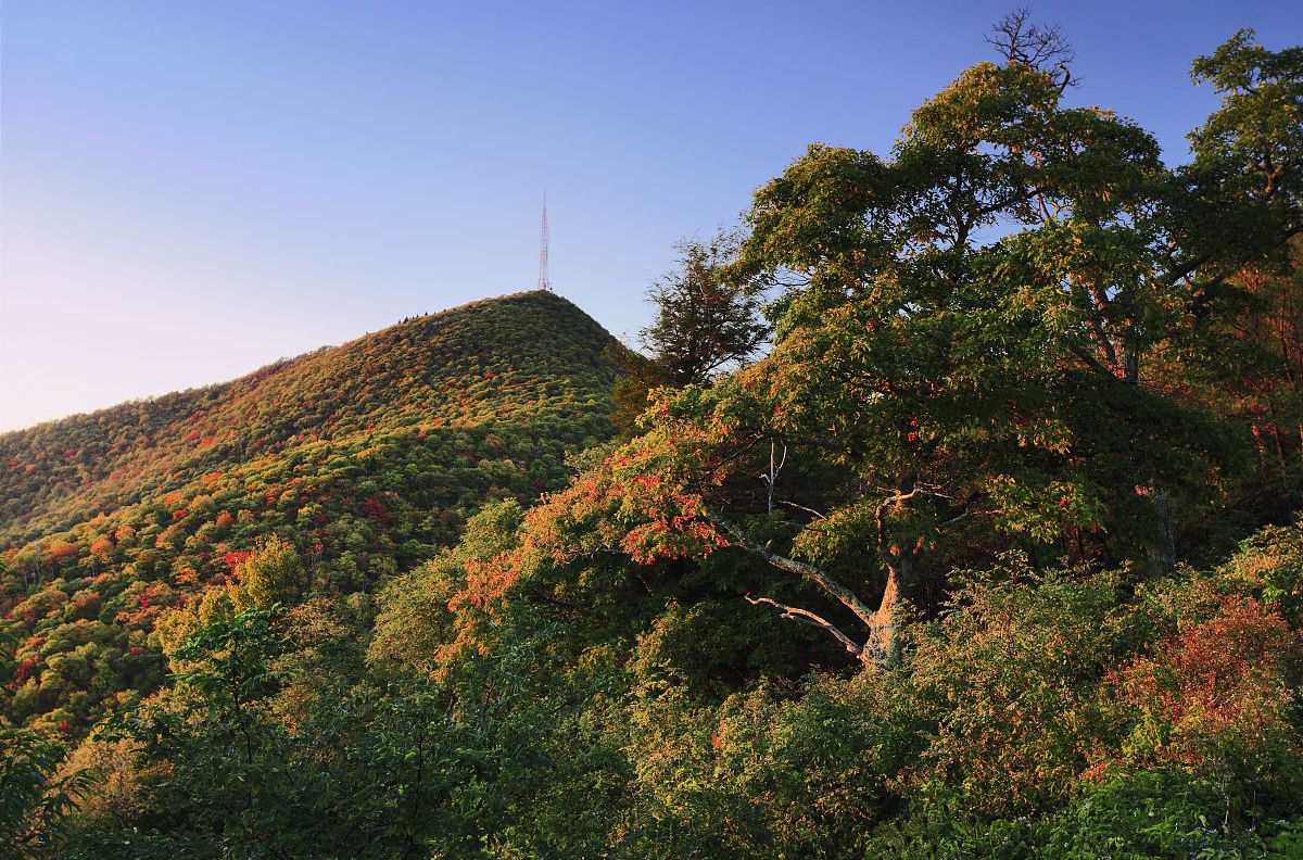 黑龍江金龍山國家森林公園