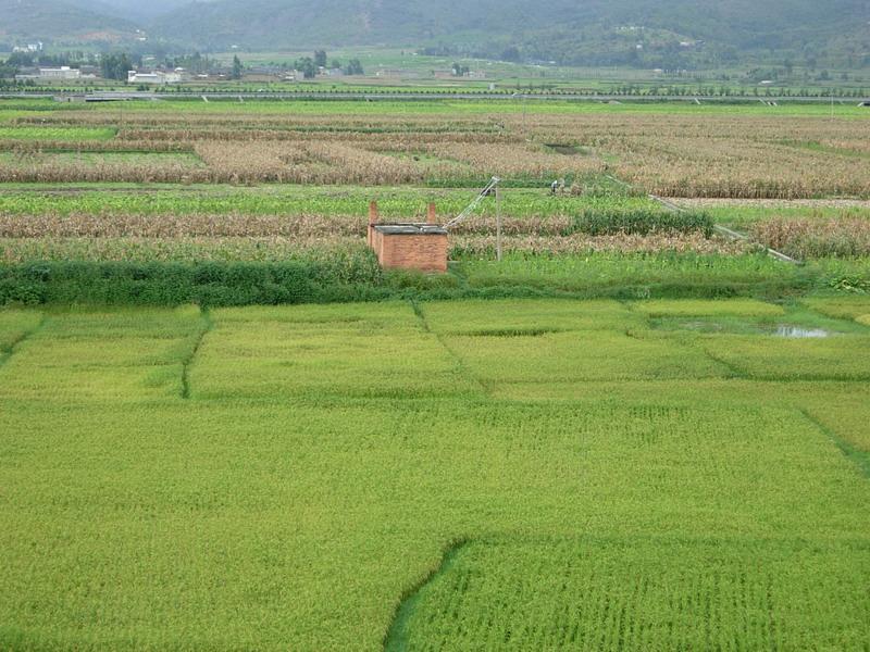 何官營村(雲南大理州祥雲縣祥城鎮下轄村)