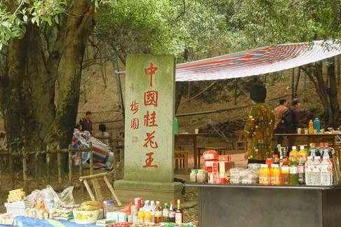 香林花雨風景區