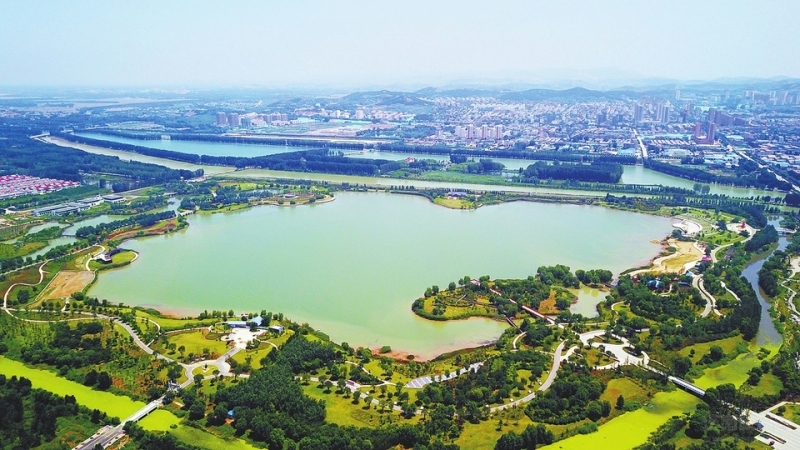 山東黃河玫瑰湖國家濕地公園