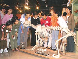 海南生物多樣性博物館