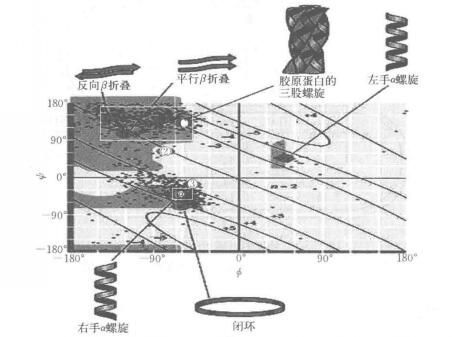 拉氏構象圖