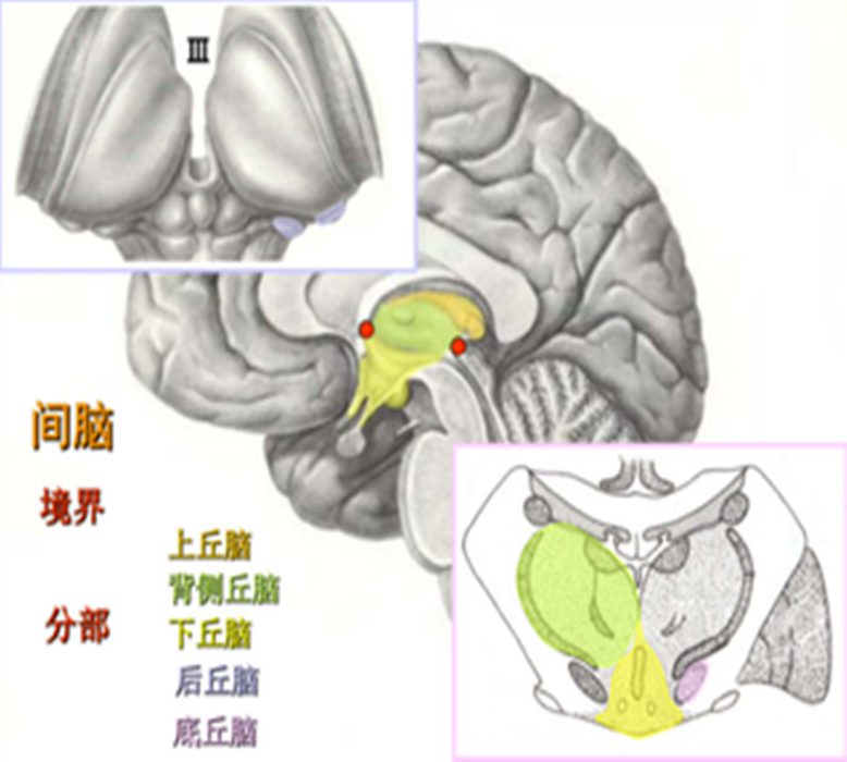 前核群