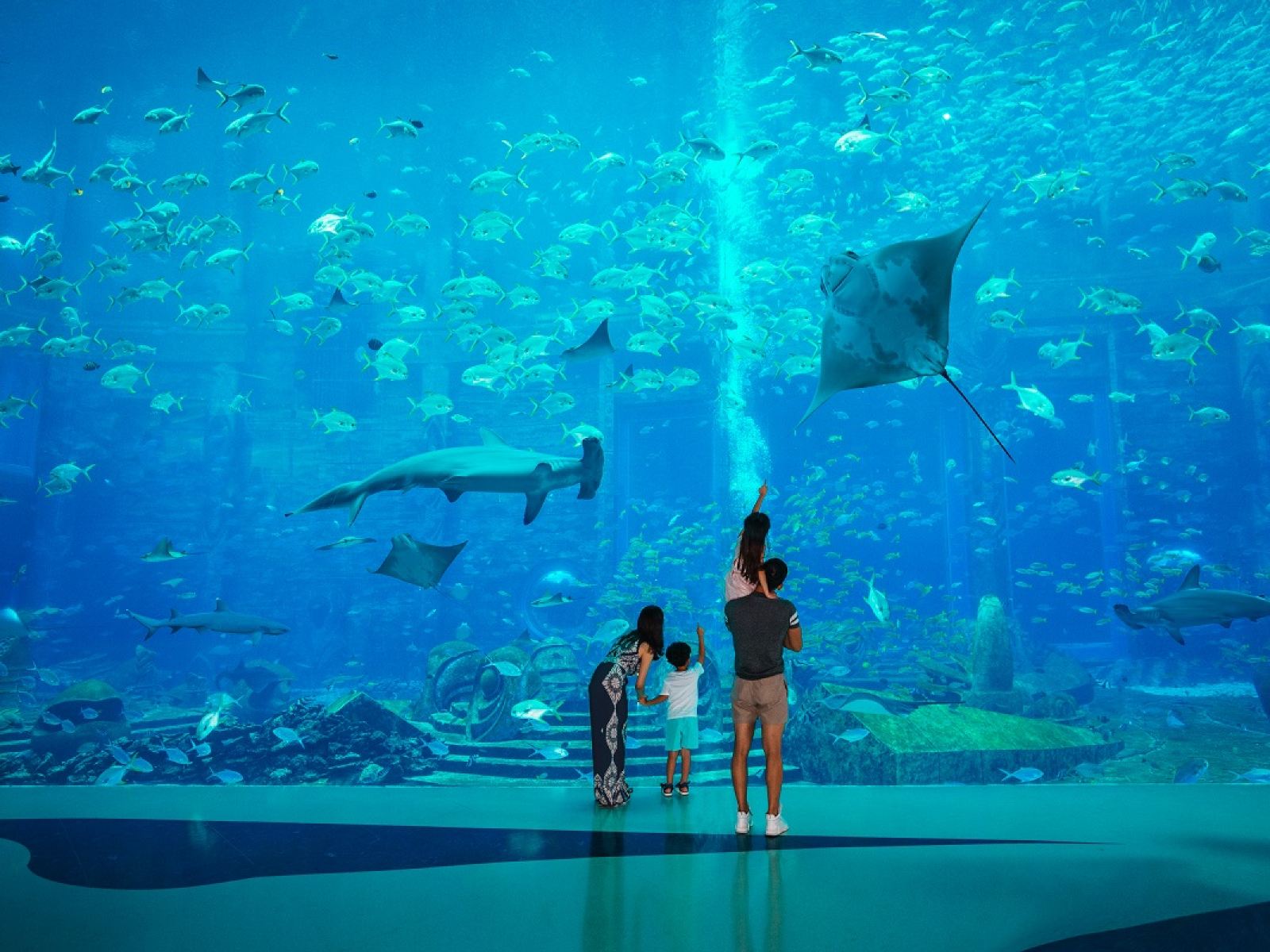 三亞亞特蘭蒂斯失落的空間水族館