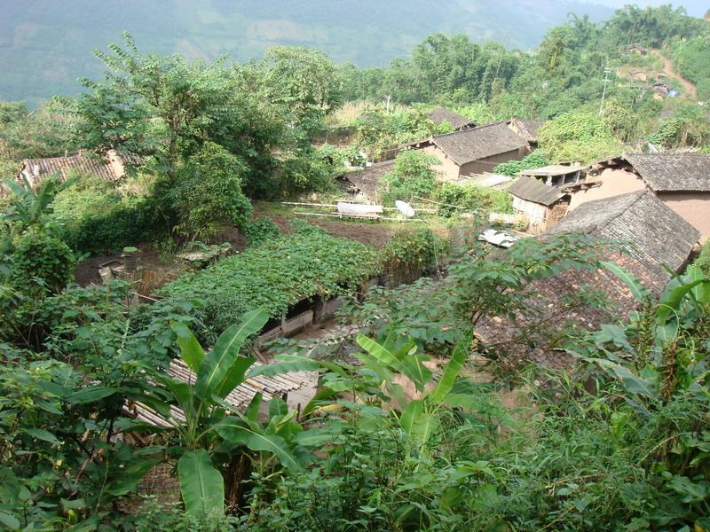 大田村(雲南省普洱市寧洱縣普義鄉大田村)