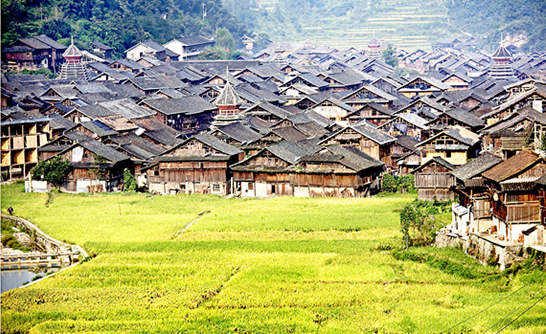 石龍山村(雲南省漾濞彝族自治縣蒼山西鎮石龍山村)