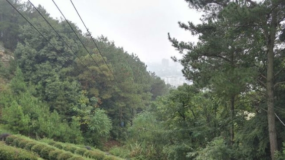 江西會昌山國家森林公園