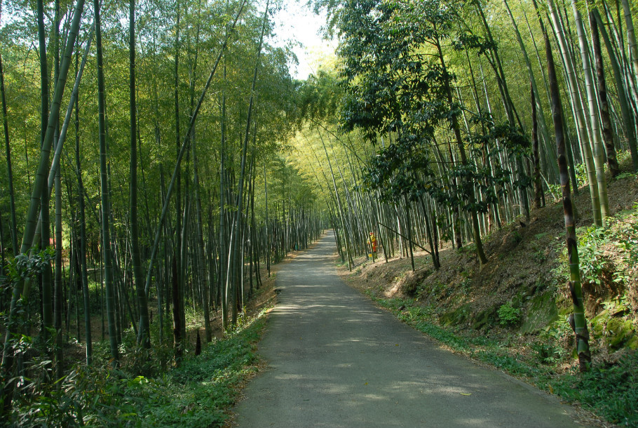 瑞岩景區