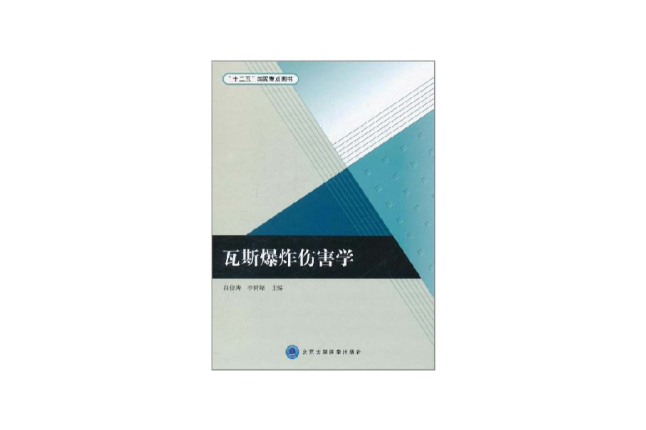 十二五國家重點圖書：瓦斯爆炸傷害學