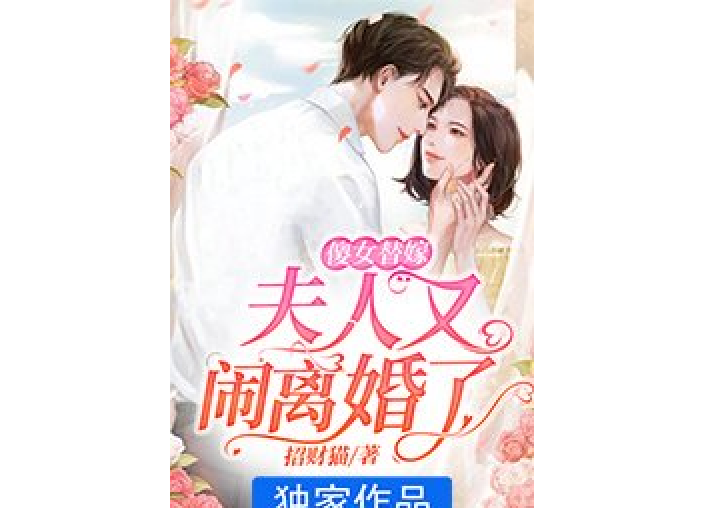 傻女替嫁：夫人又鬧離婚了