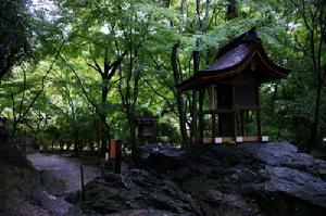 賀茂別雷神社