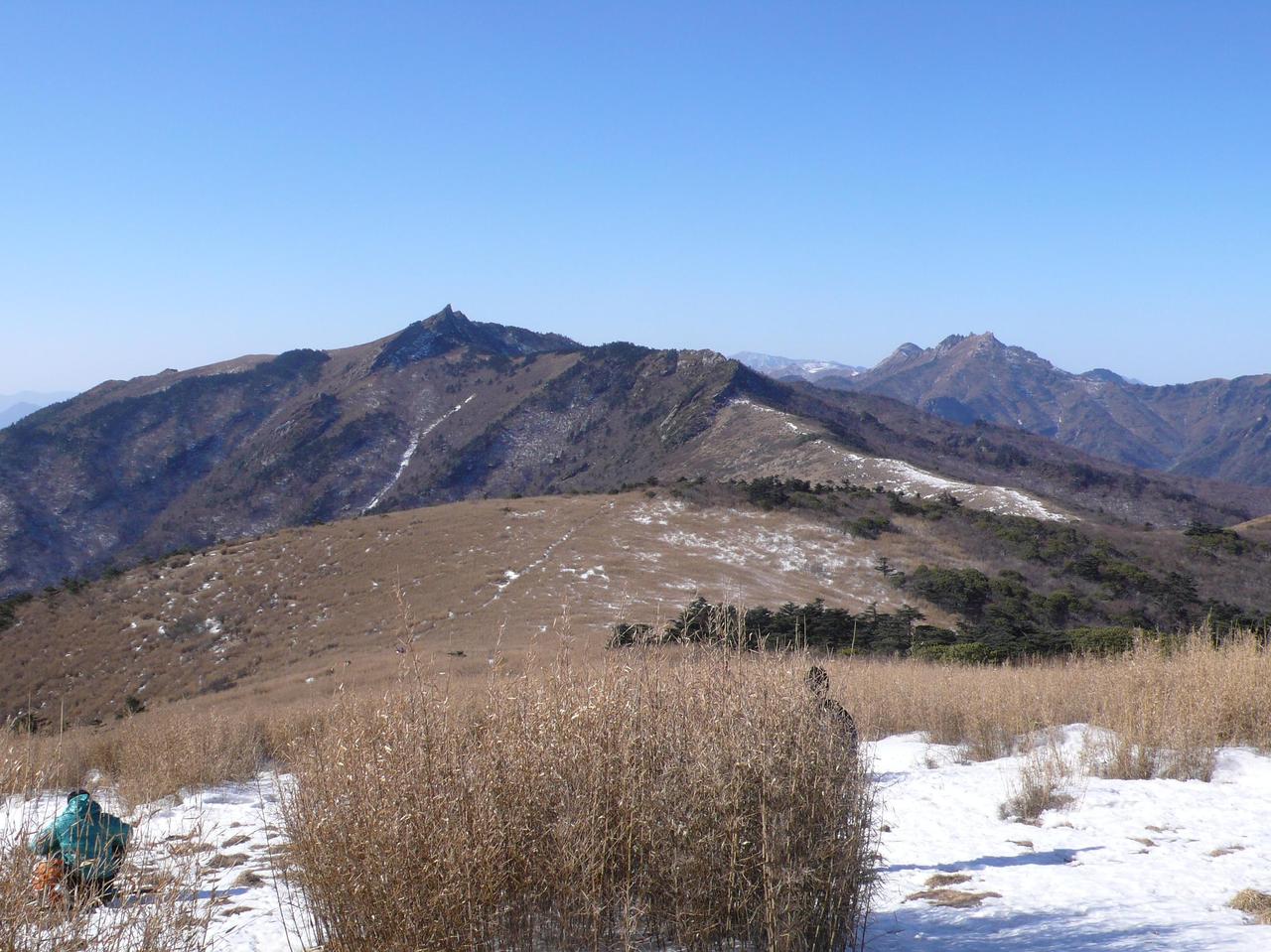 草甸冬景