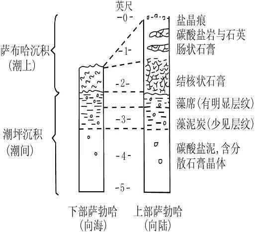 薩布哈