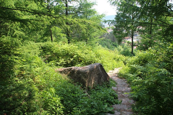 佛手山森林公園