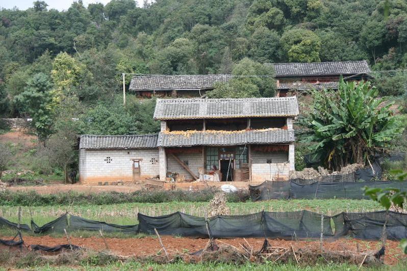 小壩心村(雲南省文山州丘北縣膩腳鄉小壩心村)